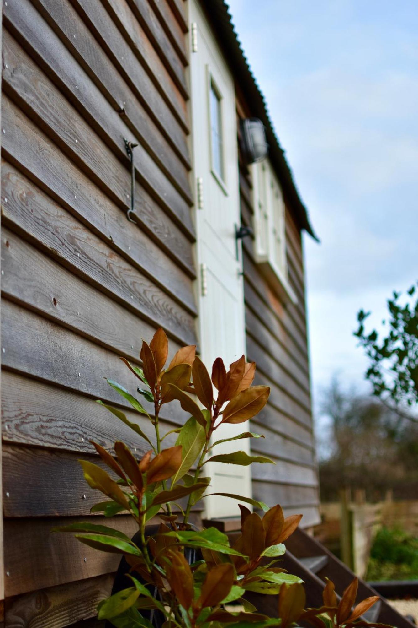 The Deer Hut Lejlighed Burpham Eksteriør billede